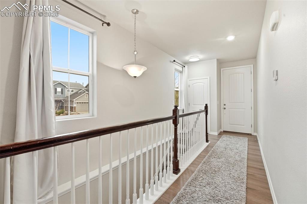 Image 3 of 50: Other