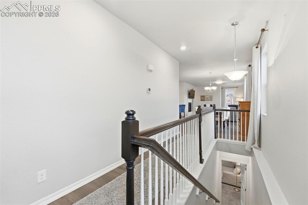 Image 31 of 50: Other