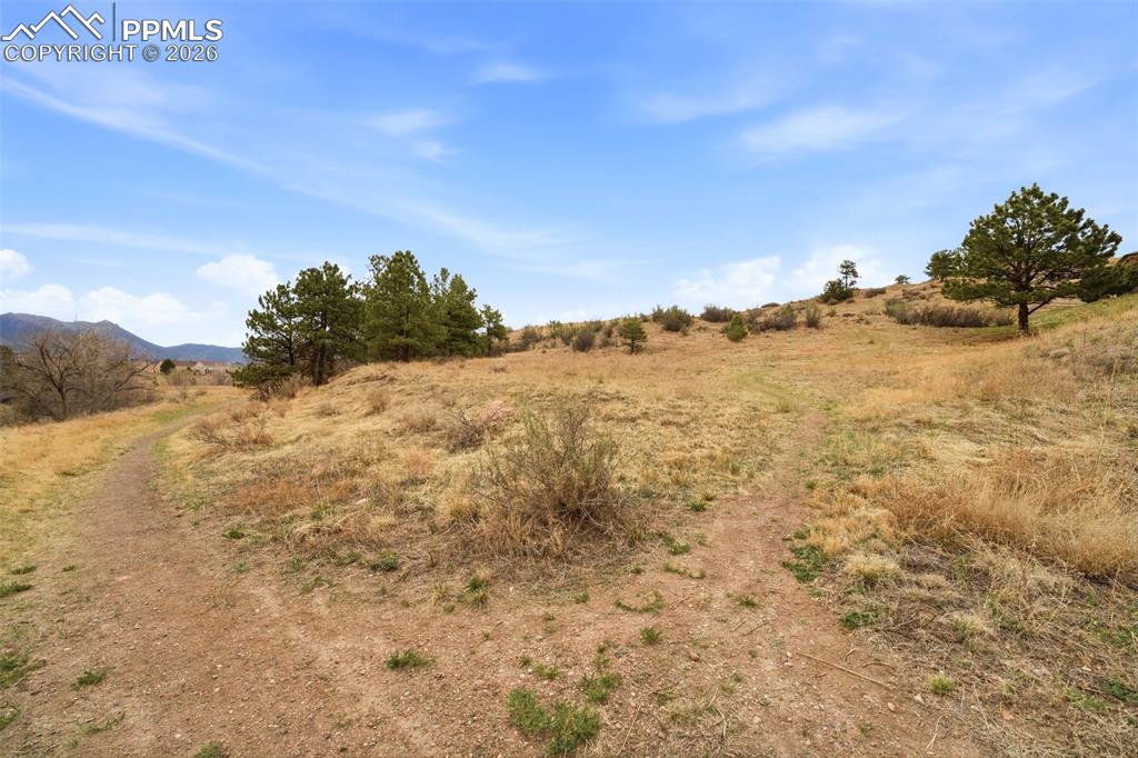 Image 48 of 50: Other