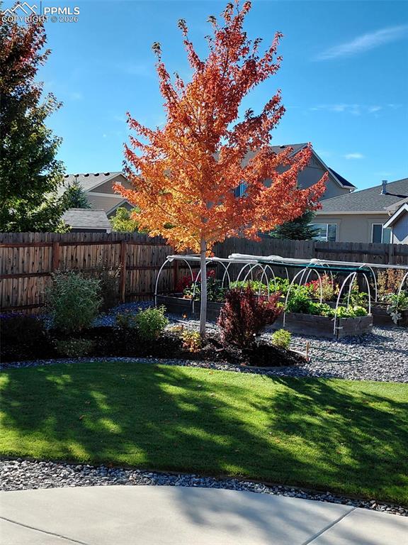 Image 31 of 50: Yard