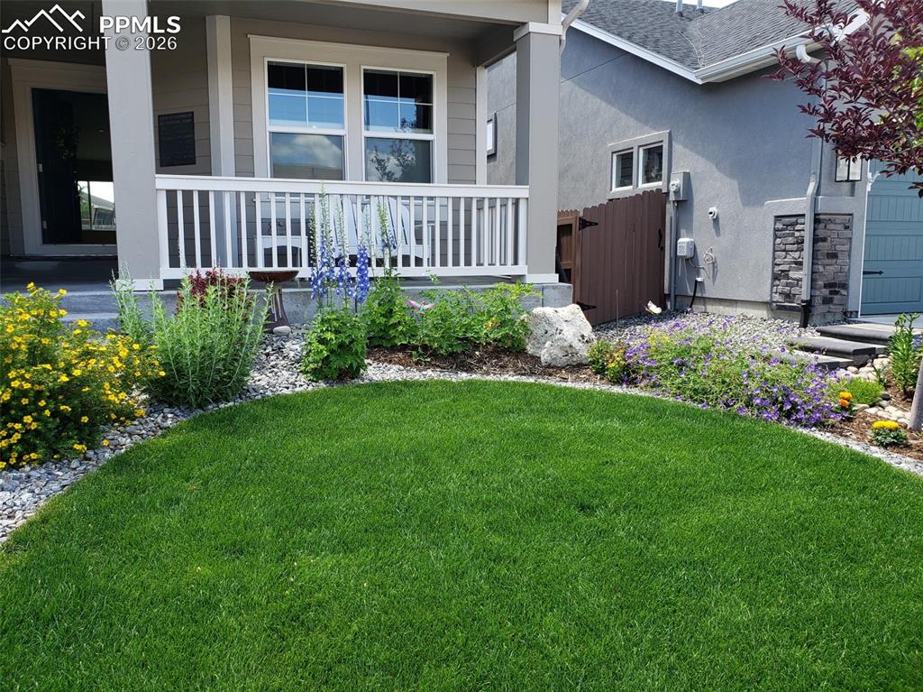 Image 32 of 50: Yard