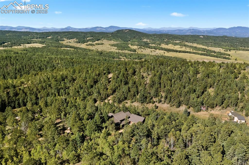 Image 44 of 49: Aerial View