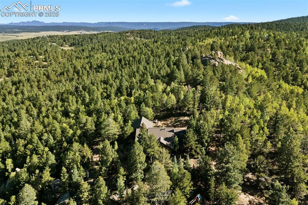Image 46 of 49: Aerial View