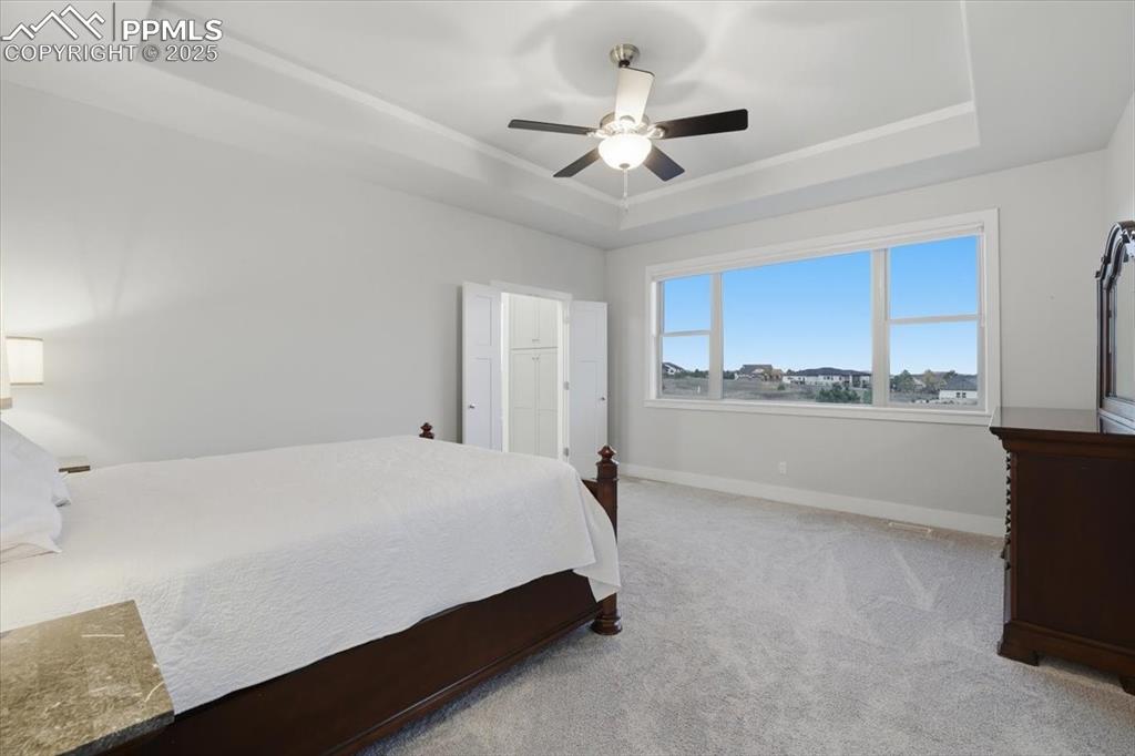 Image 19 of 49: The primary bedroom has beautiful views, a tray ceiling and plush carpet, p
