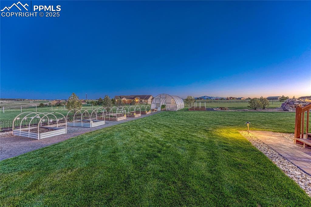 Image 46 of 50: Yard