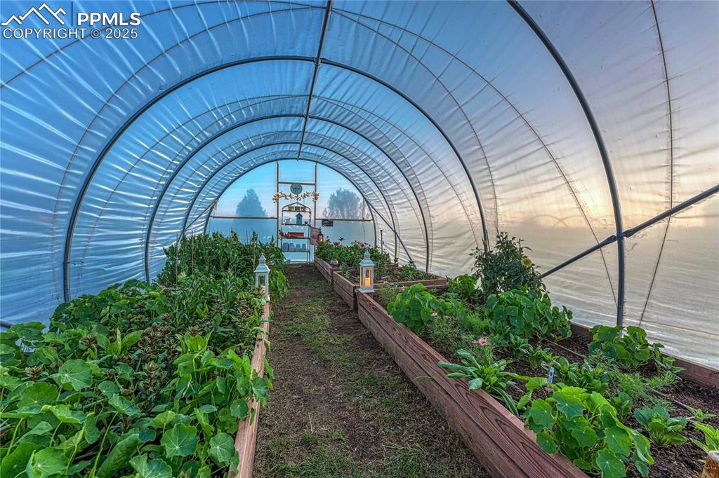 Image 47 of 50: Greenhouse