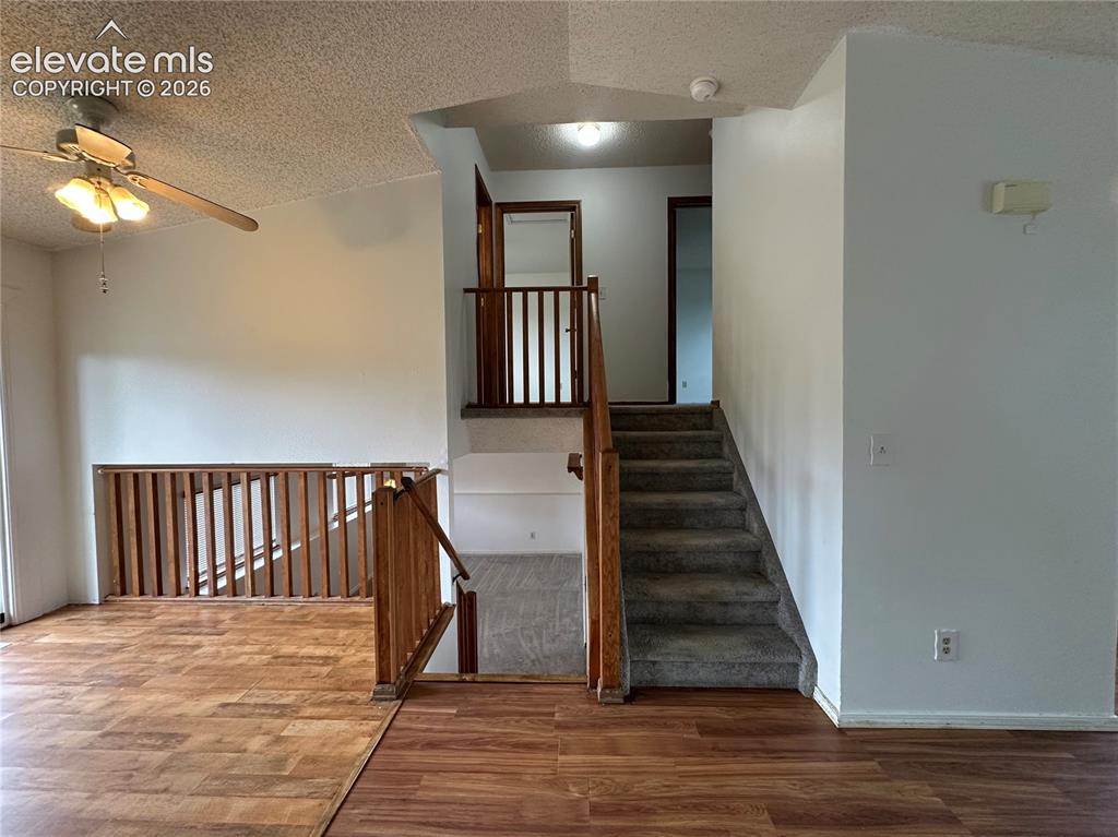 Image 6 of 15: Multi-level interior featuring wood-finish flooring, a carpeted staircase w