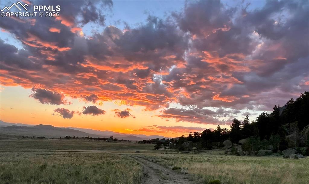 Image 41 of 50: View