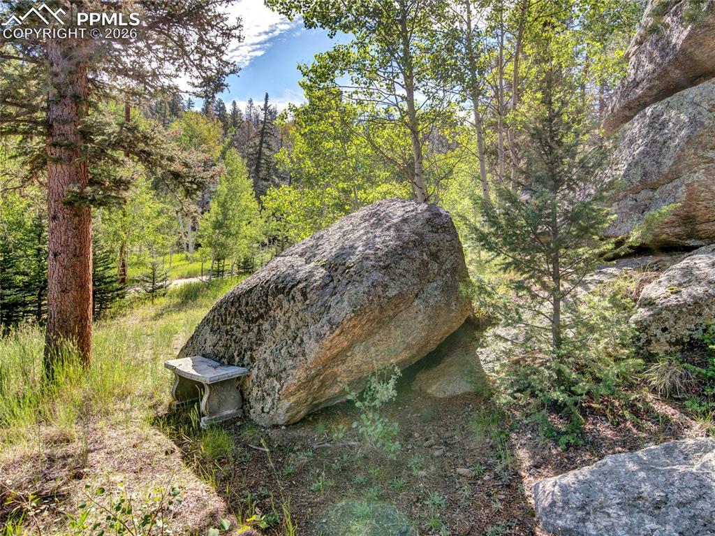 Image 34 of 49: Other