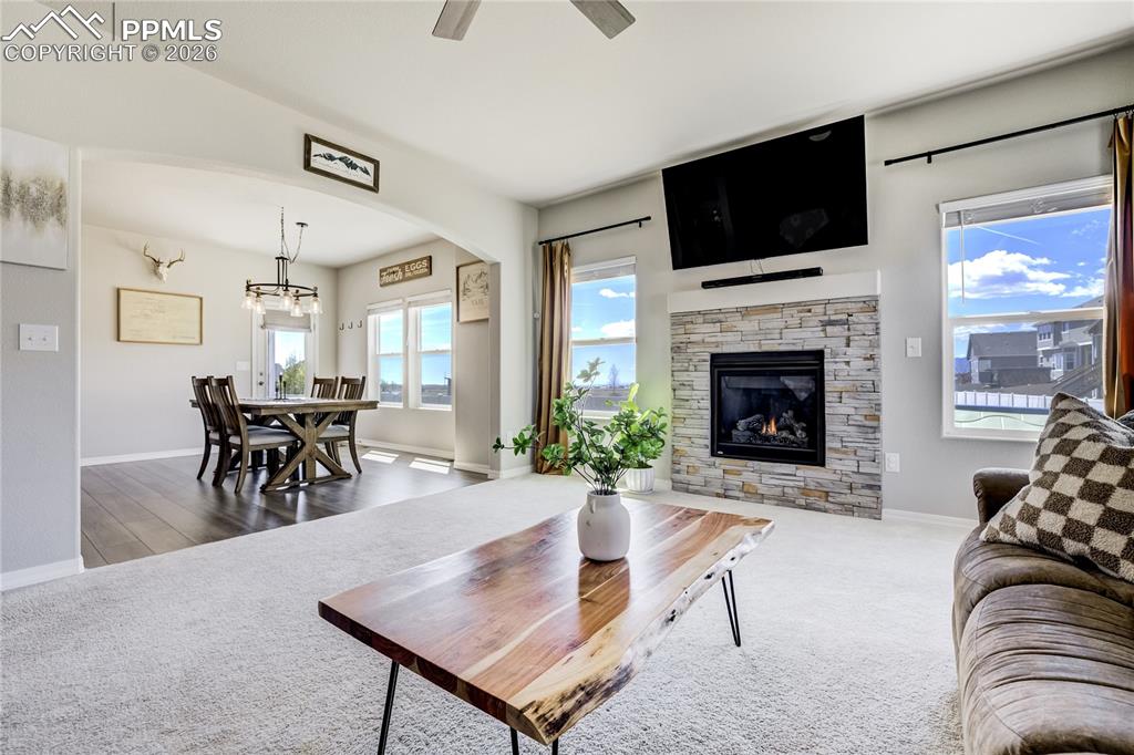 Image 4 of 49: Backs to open space