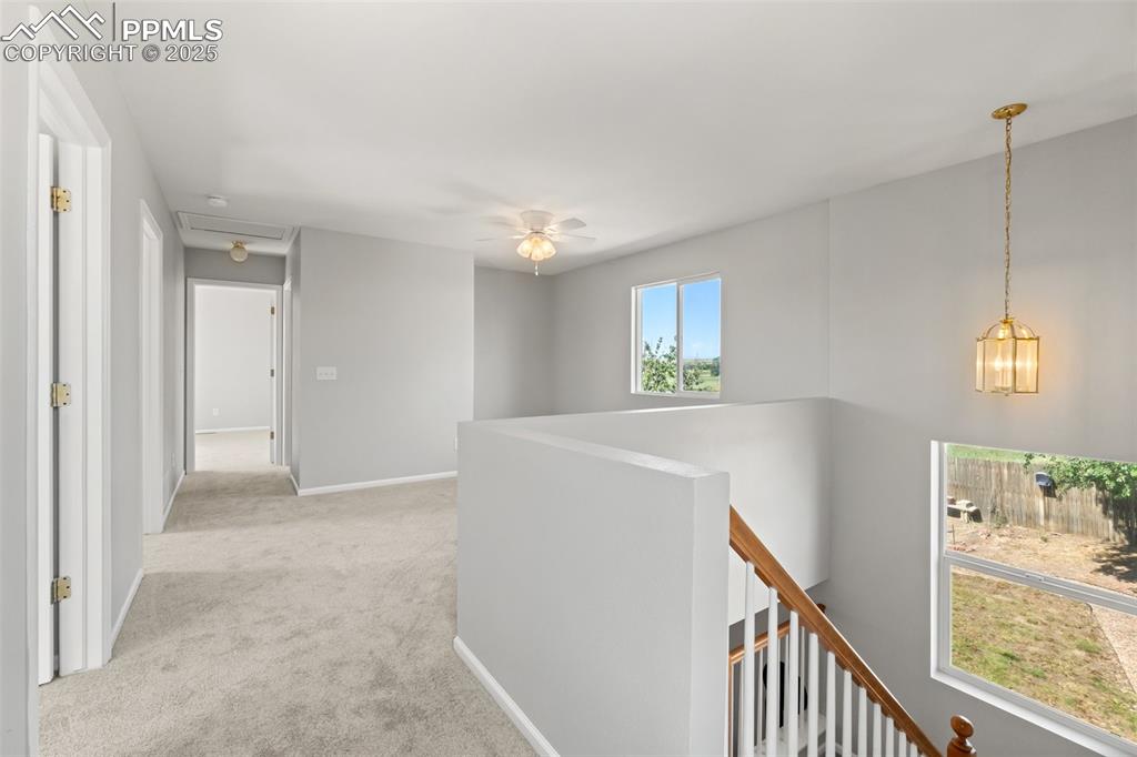 Image 13 of 38: Loft