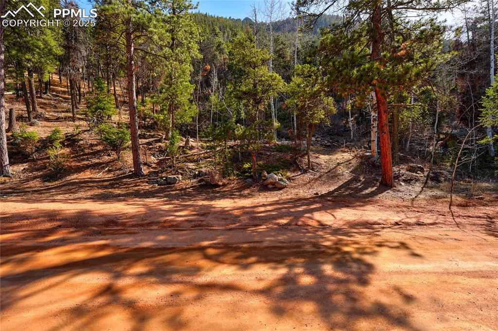 Image 2 of 11: Other