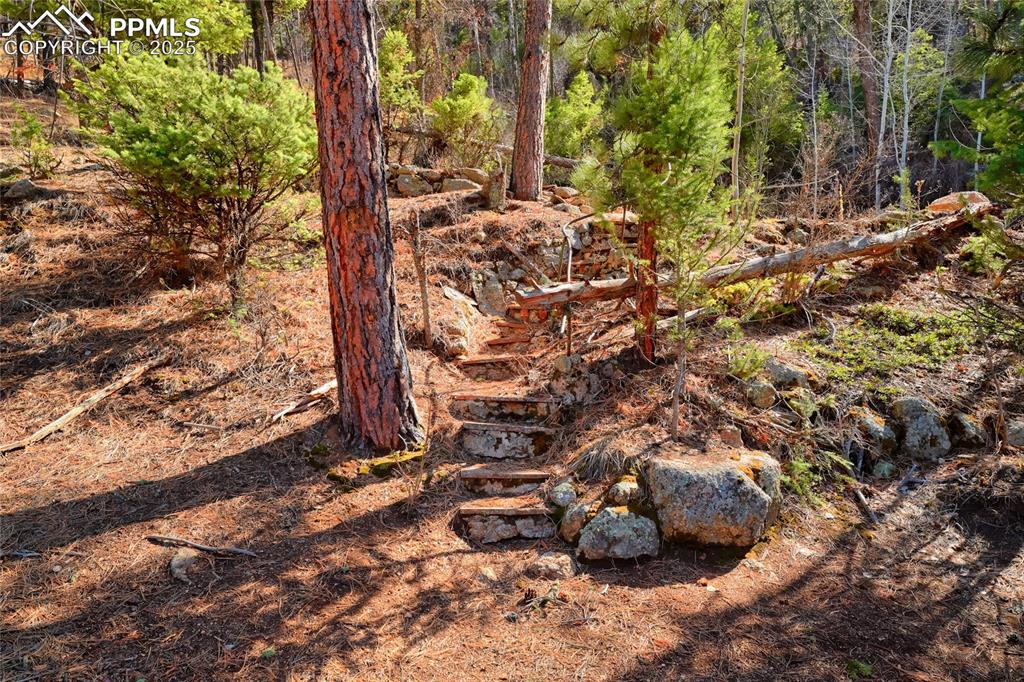 Image 3 of 11: Other