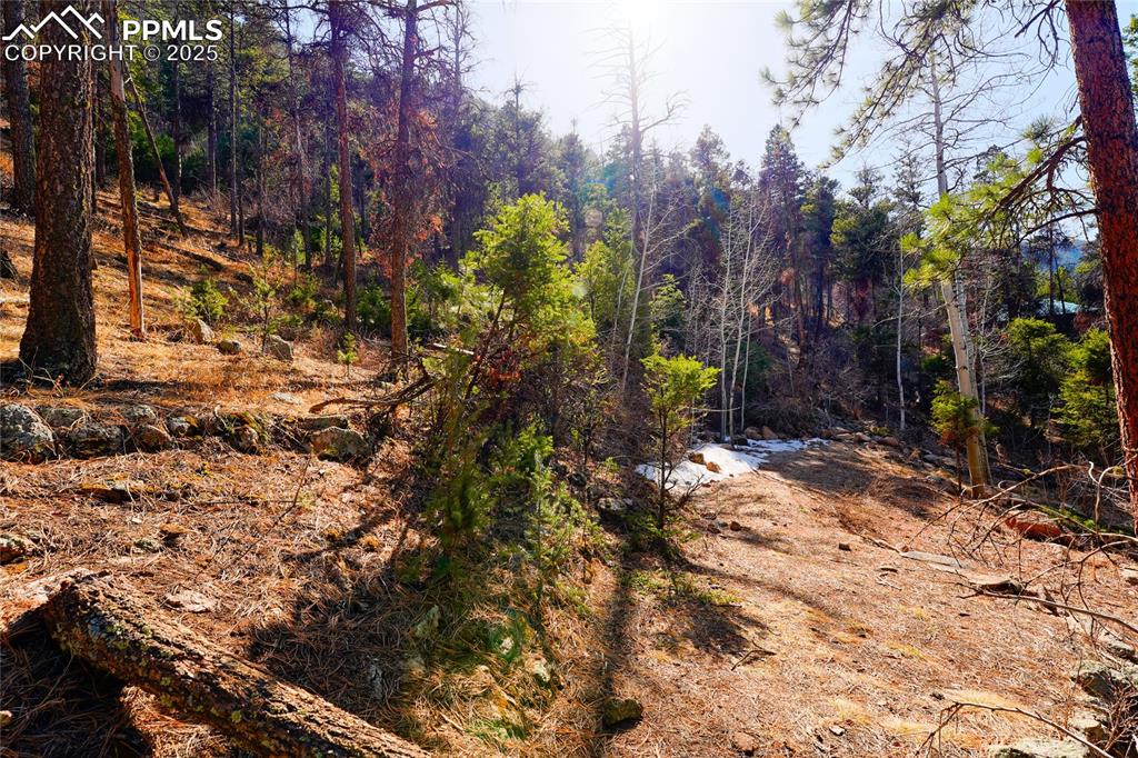 Image 5 of 11: Other