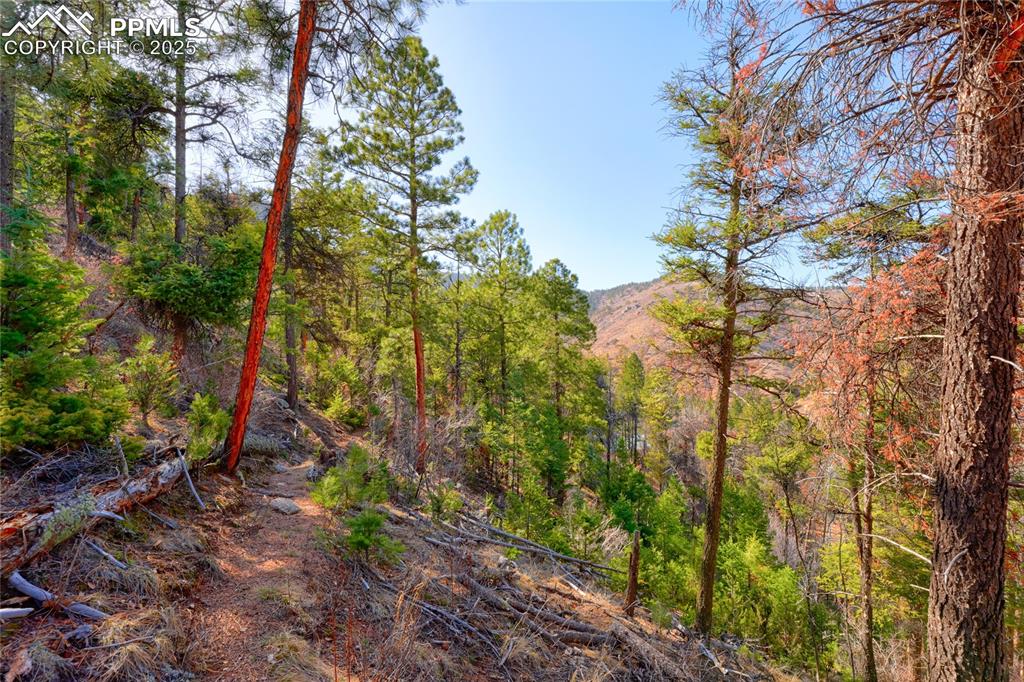 Image 6 of 11: Other