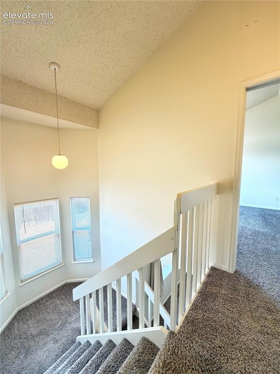 Image 9 of 21: Other