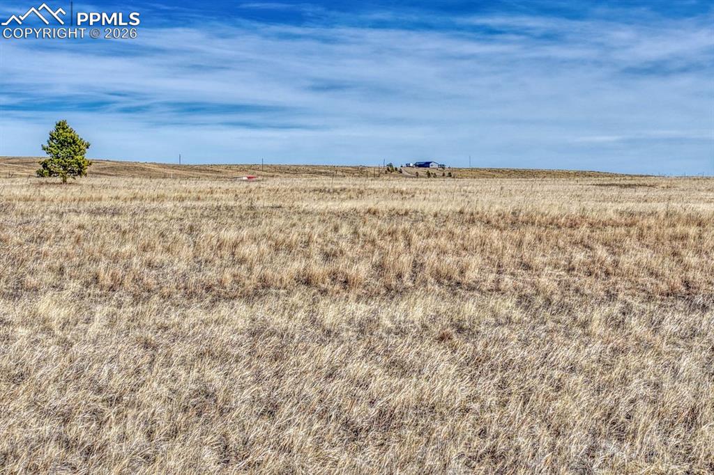 Image 16 of 20: View