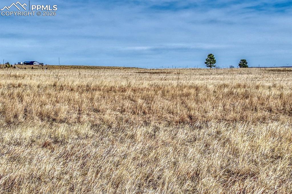 Image 17 of 20: Other