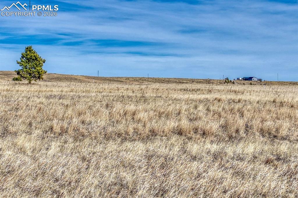 Image 18 of 20: Other