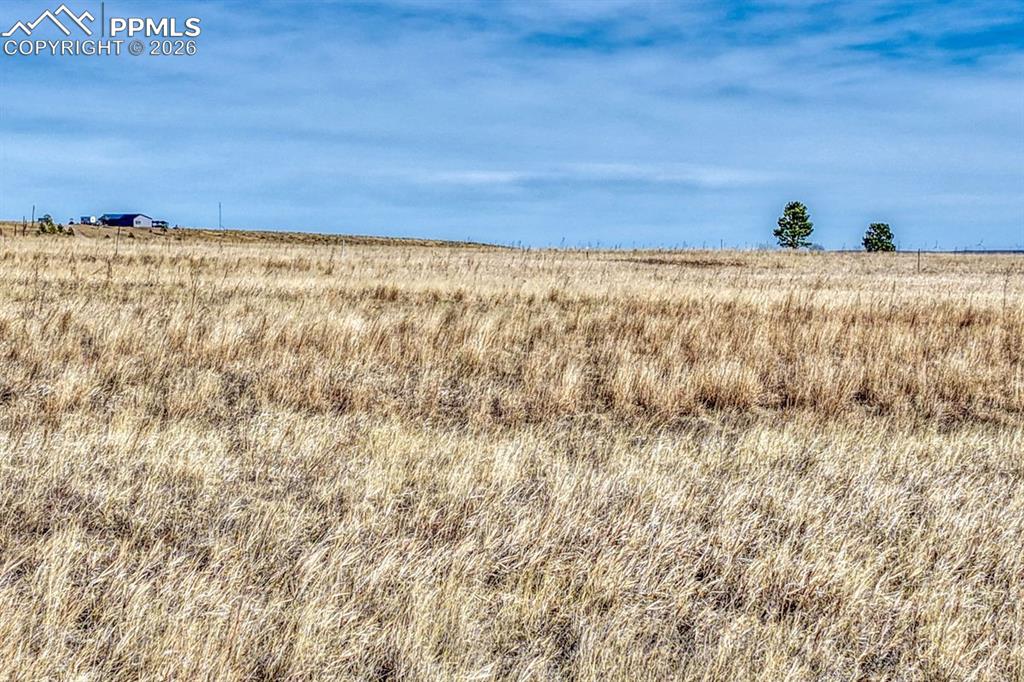 Image 19 of 20: Other