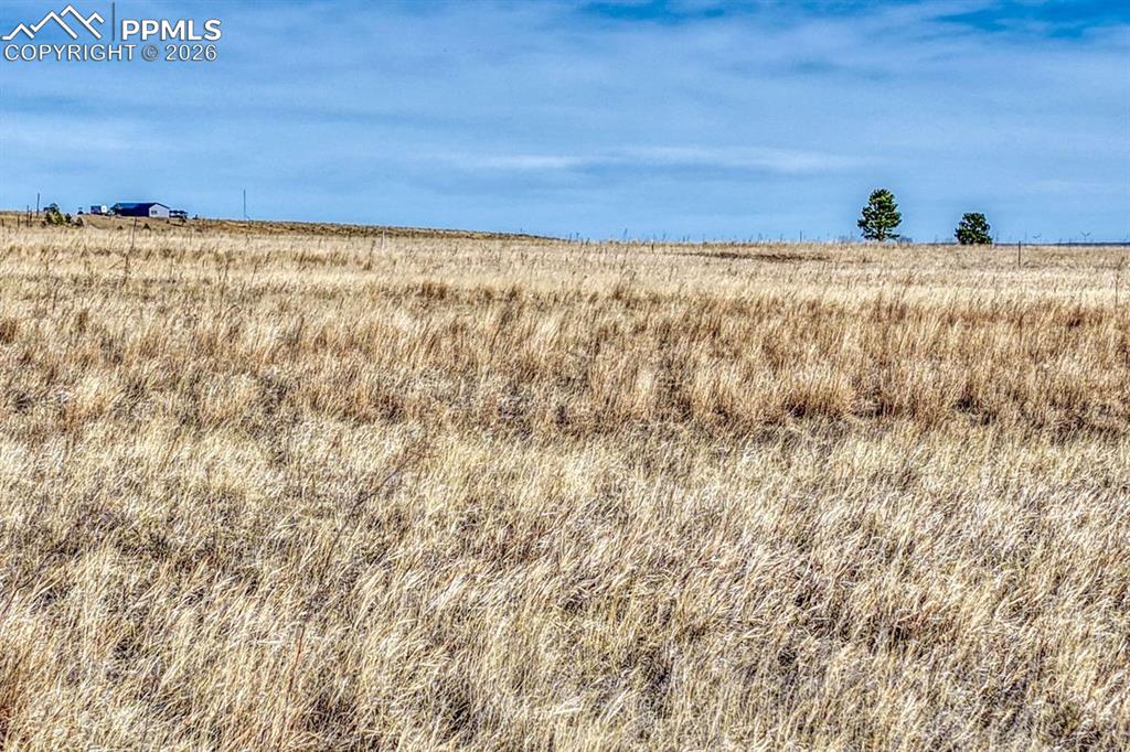 Image 20 of 20: Other