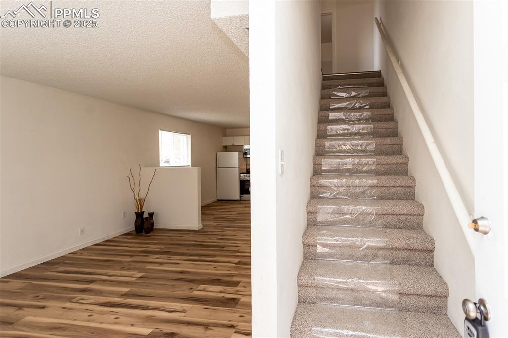 Image 13 of 27: Stairs have new carpeting.