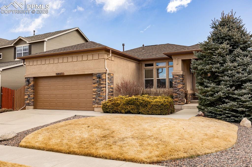 Image 46 of 49: Front of Structure