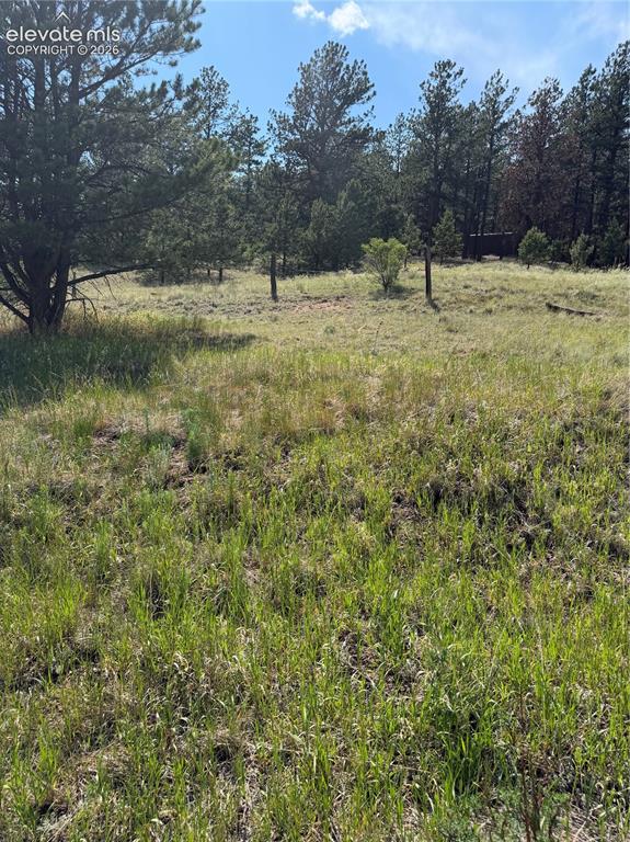 Image 9 of 13: Other