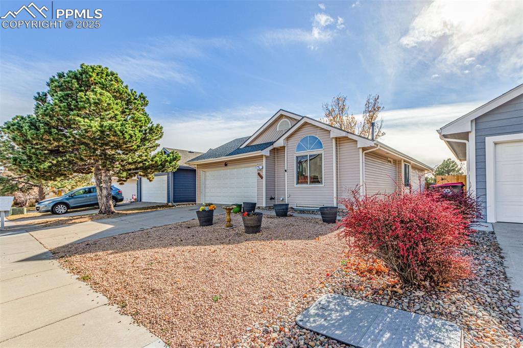 Image 5 of 46: Front of Structure