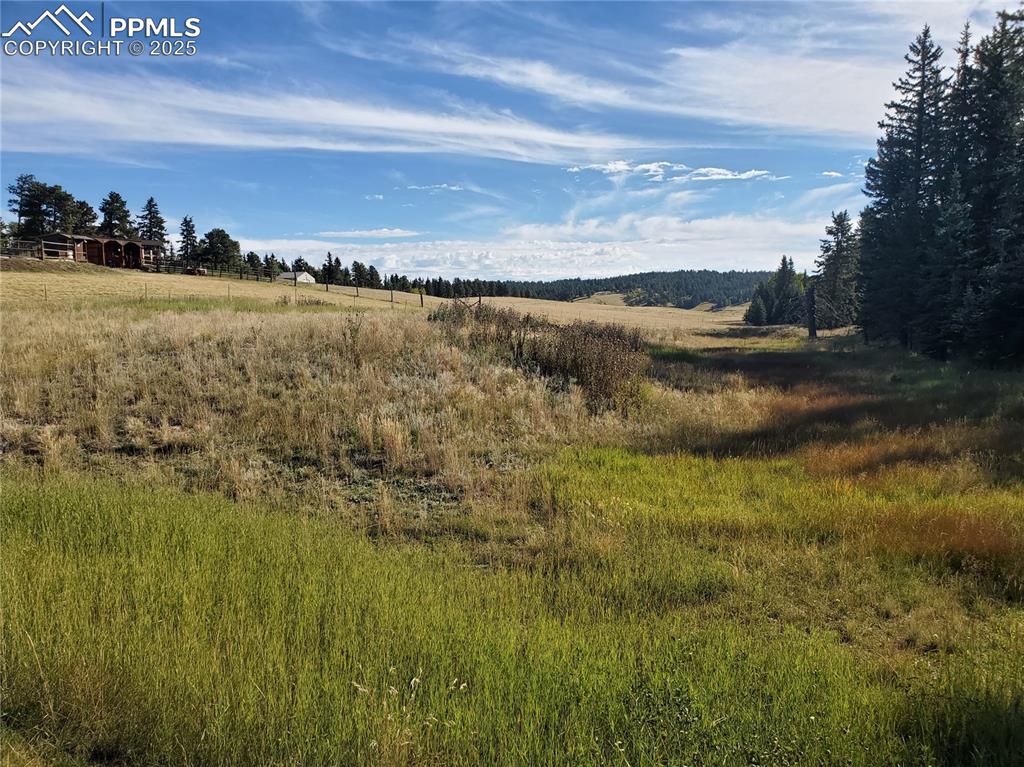 Image 10 of 21: Other