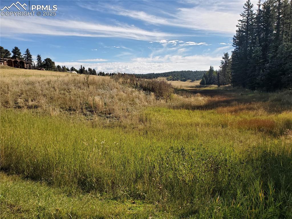 Image 11 of 21: Other