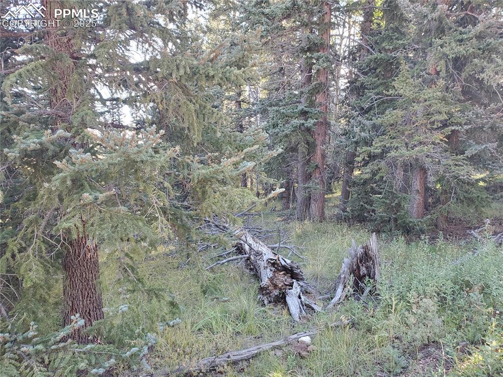 Image 17 of 21: Other