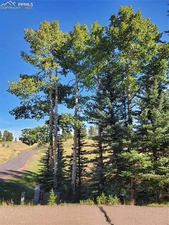 Image 21 of 21: Other