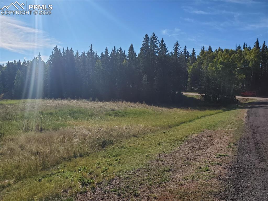 Image 4 of 21: Community