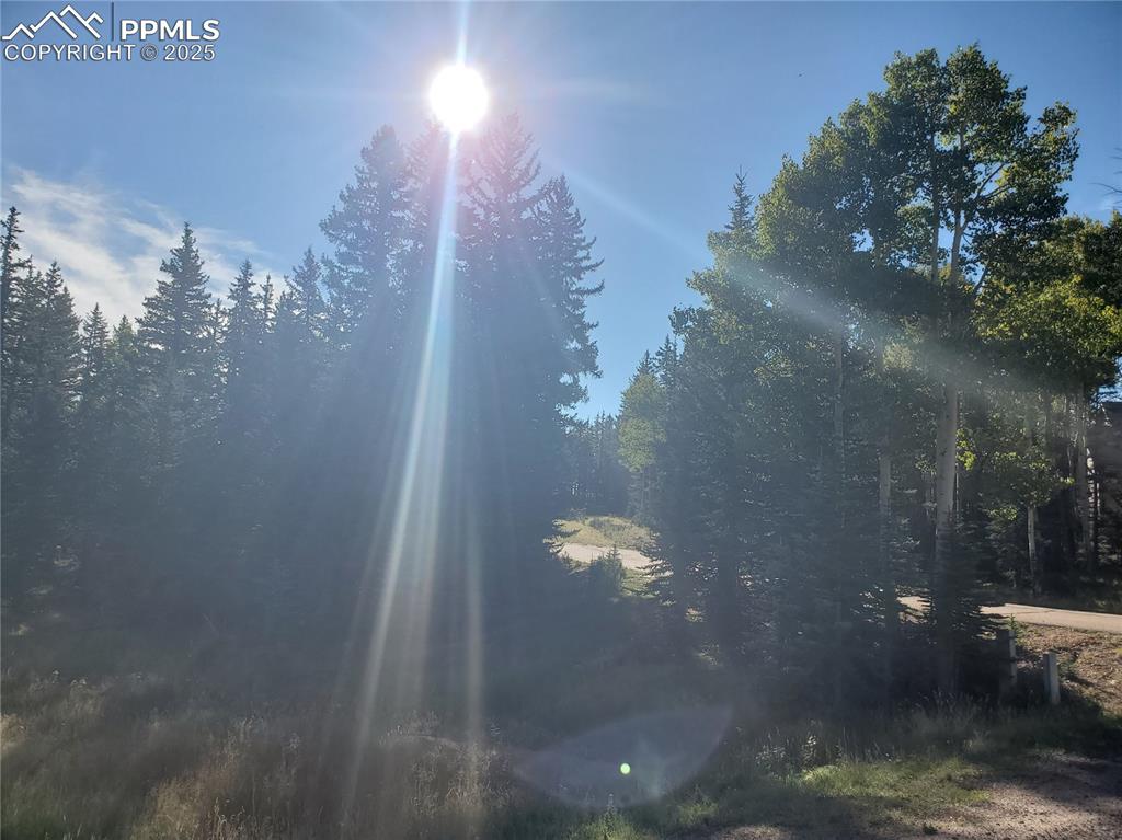 Image 7 of 21: Other