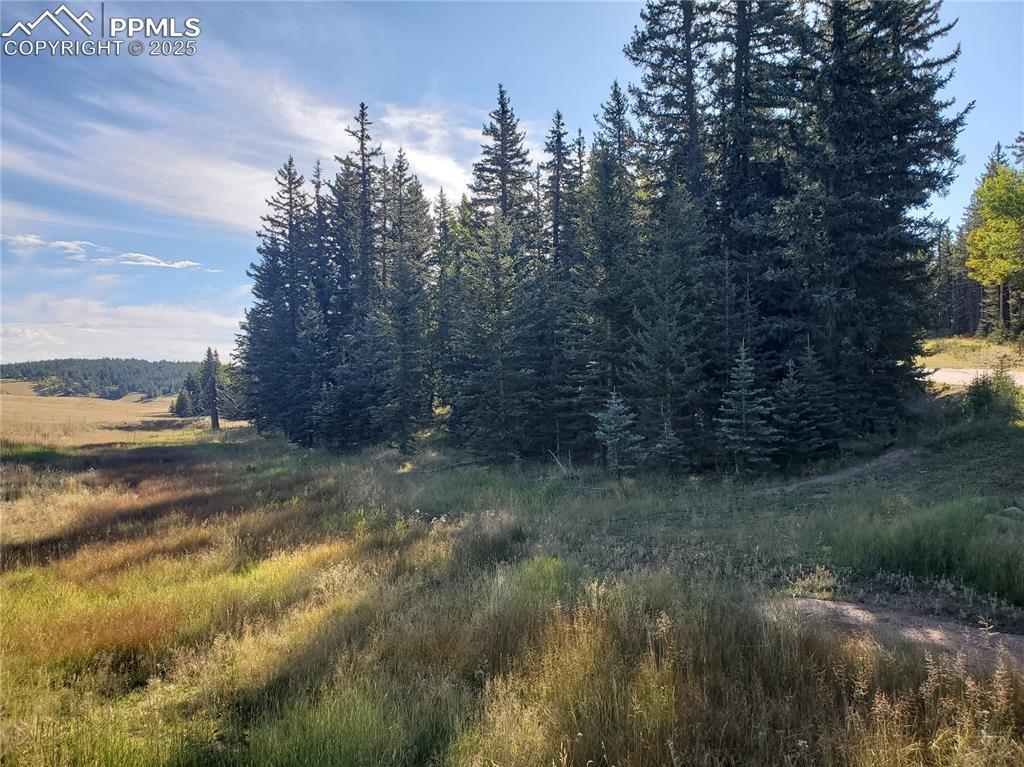 Image 8 of 21: Other