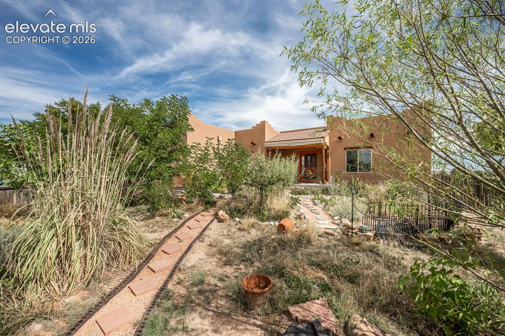 Image 4 of 50: Front of the yard since 2019 has been transformed into a living Ecosystem. 
