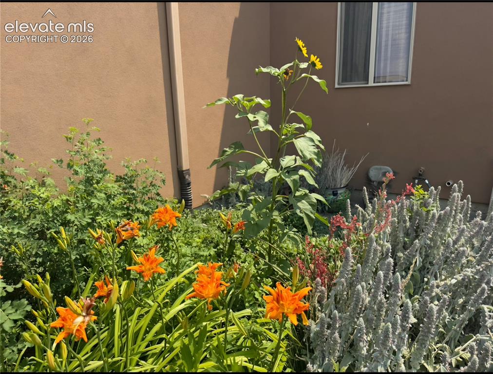 Image 8 of 50: Eco-friendly blooms surround the property leaving a living legacy framing t