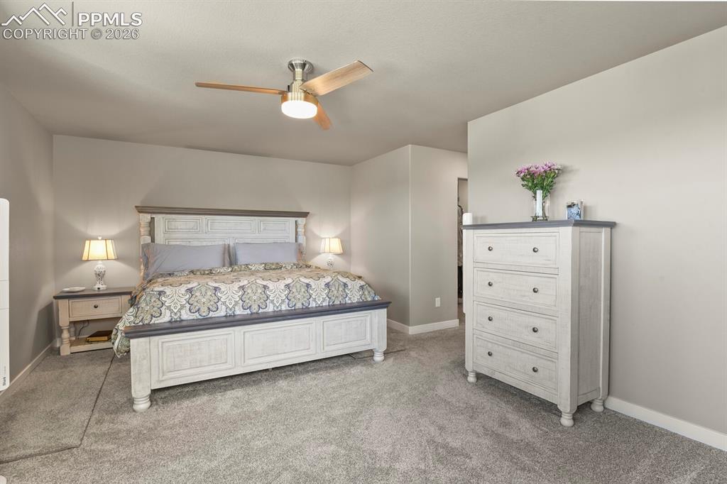 Image 19 of 33: Carpeted room featuring a ceiling fan with light fixture, light gray walls,