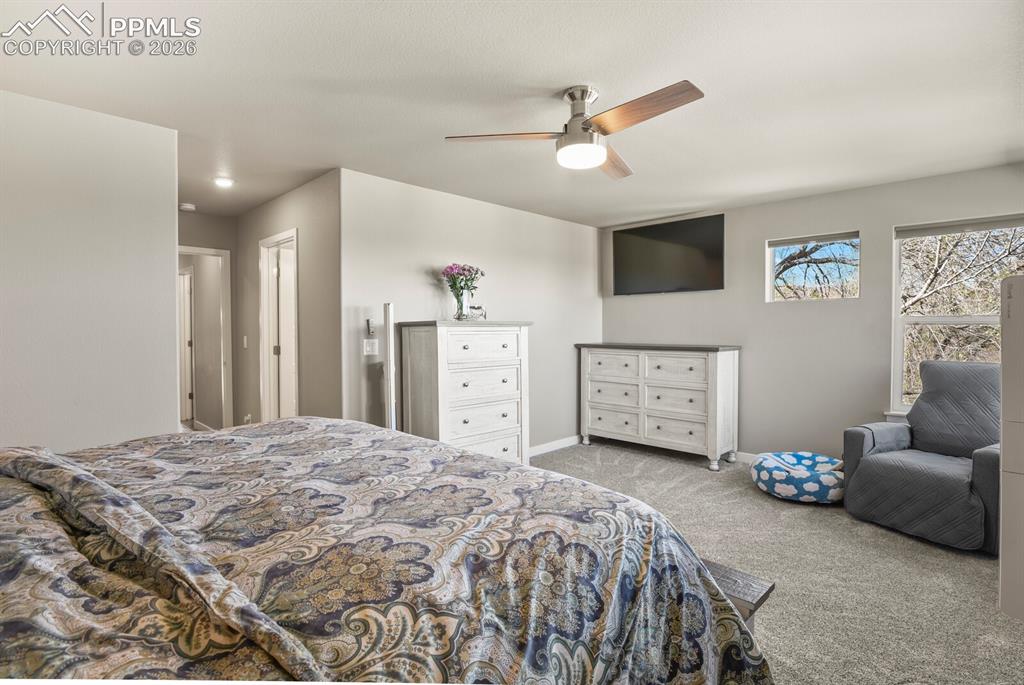 Image 21 of 33: Bedroom featuring neutral wall colors, two windows, carpeted flooring, and 