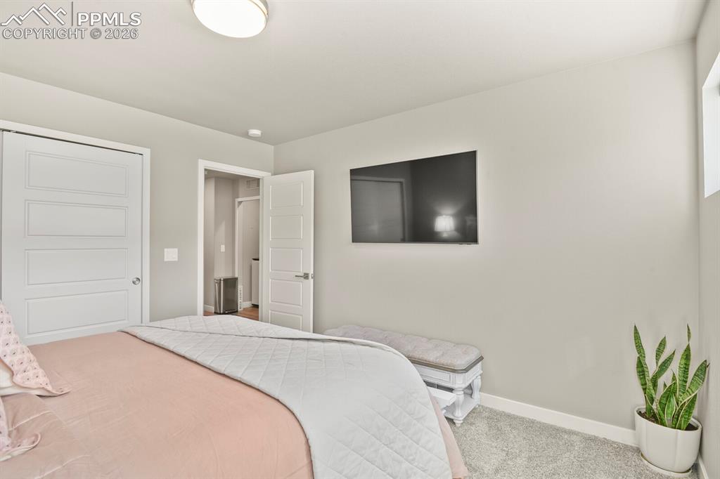 Image 26 of 33: Bedroom featuring light gray walls, carpet flooring, a flush-mount ceiling 