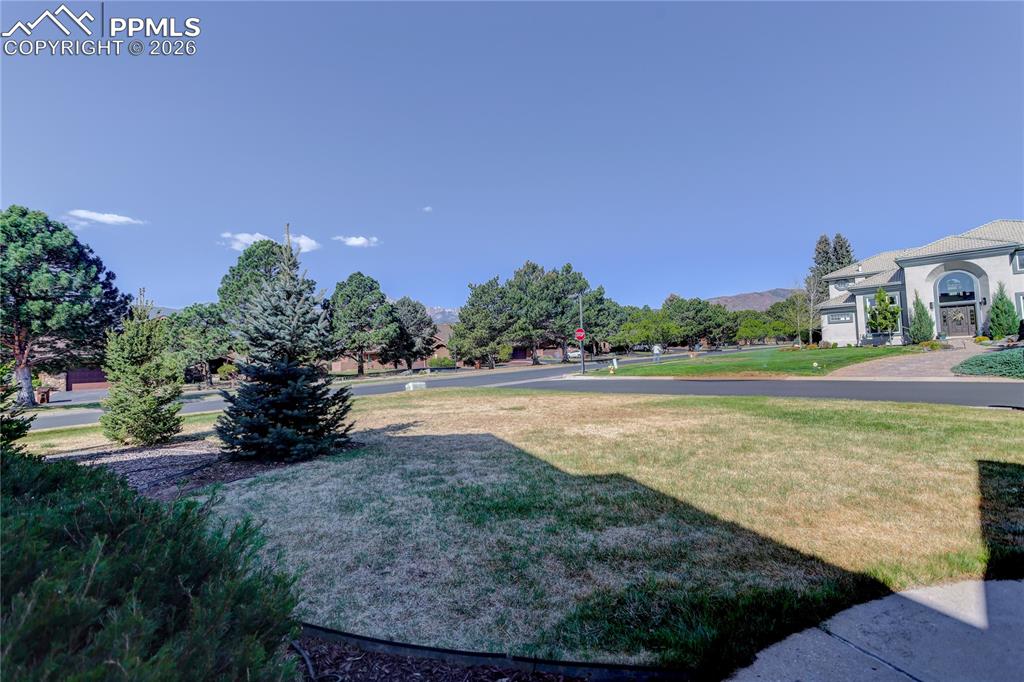 Image 45 of 46: Yard