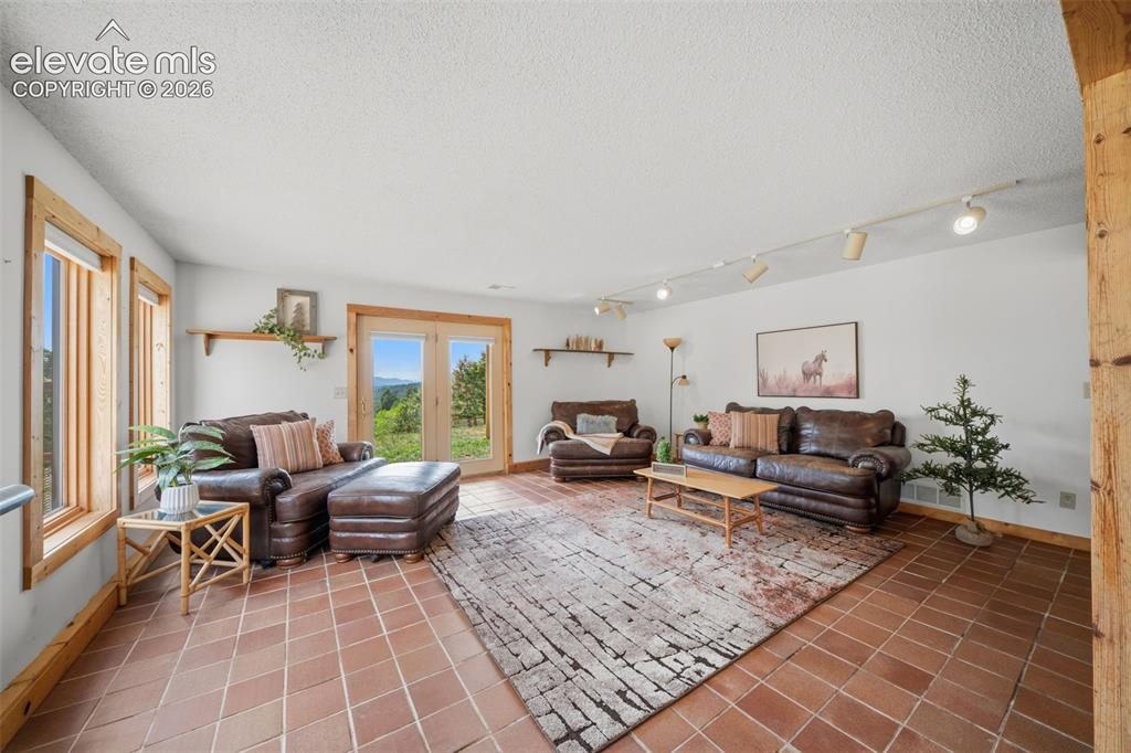 Image 15 of 39: Basement level family room with walk out