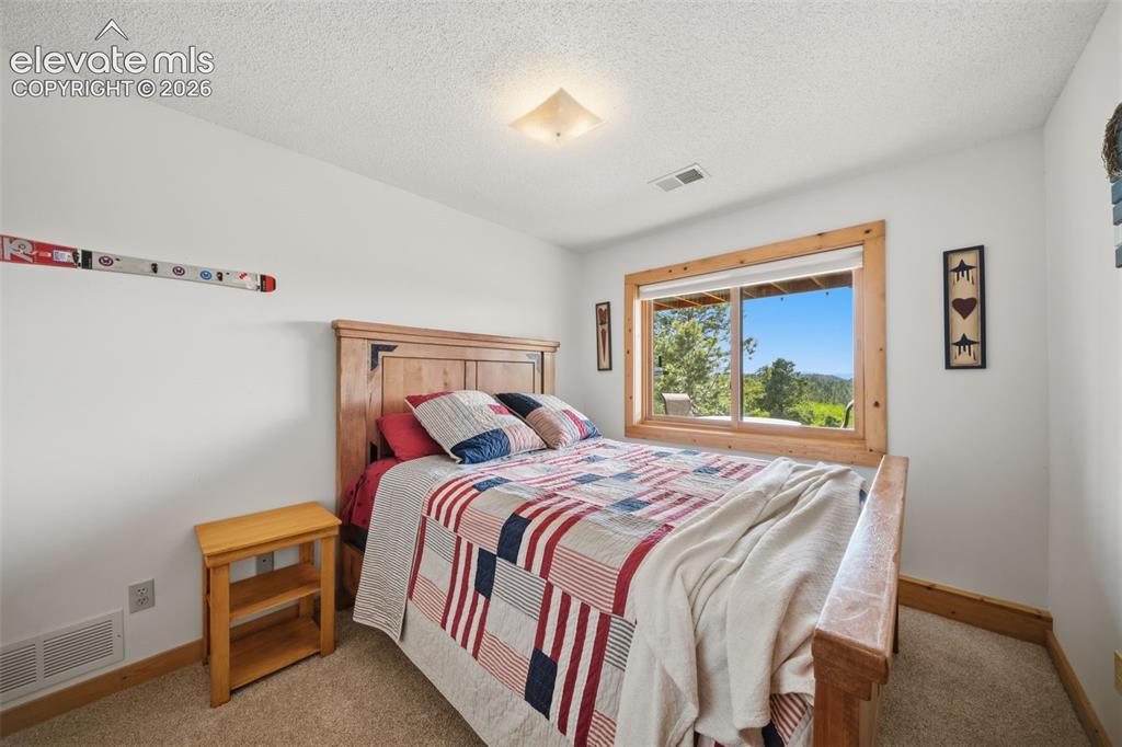 Image 19 of 39: Basement level bedroom