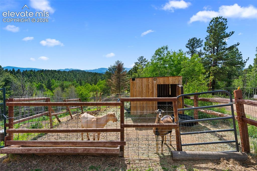 Image 24 of 39: Goat pen
