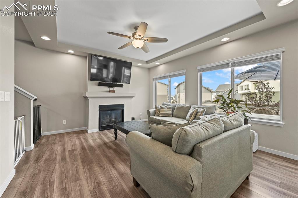 Image 5 of 44: Living area featuring a glass covered fireplace, a tray ceiling, recessed l