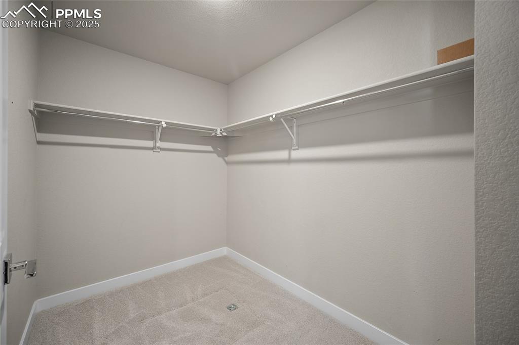 Image 6 of 30: Walk in closet featuring light carpet
