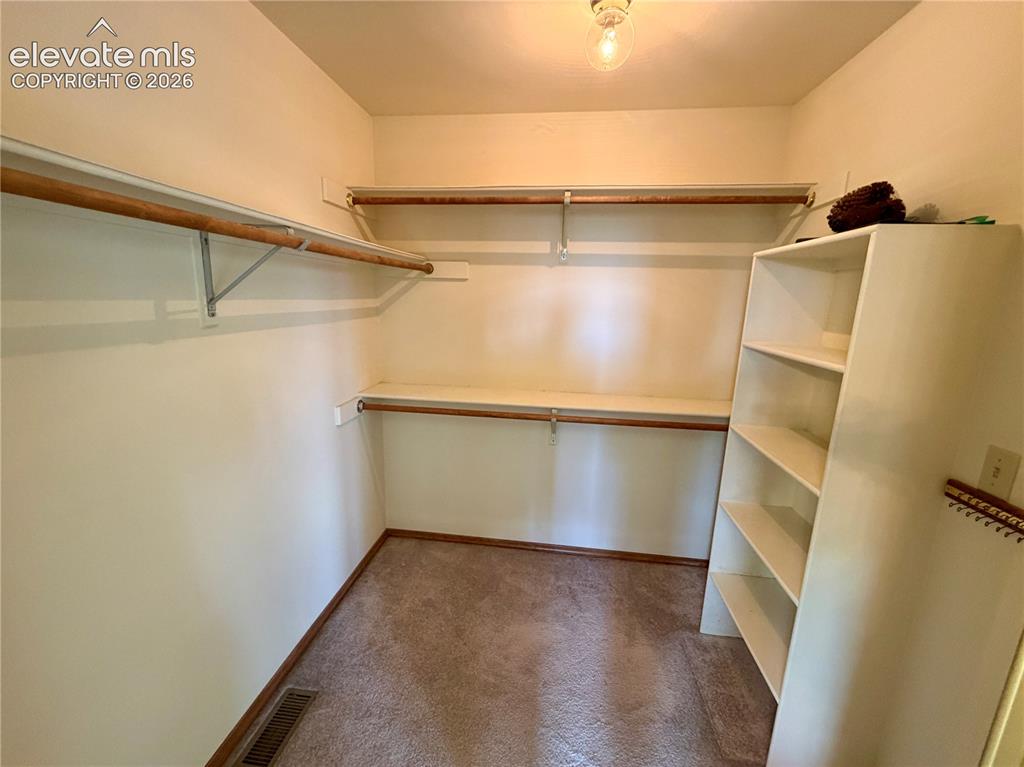 Image 24 of 50: Walk-in closet featuring built-in shelving, overhead lighting, and carpet f
