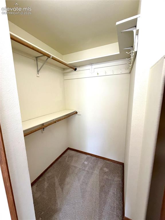 Image 33 of 50: Walk-in closet featuring carpet flooring, built-in shelving, and multiple h