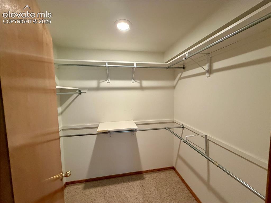 Image 38 of 50: Walk-in closet with recessed lighting, carpet flooring, multiple shelving u
